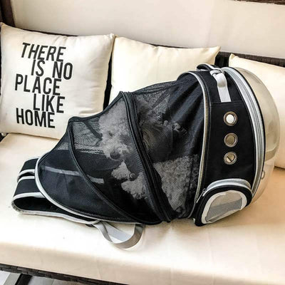 Fold-out cat/dog rucksack
