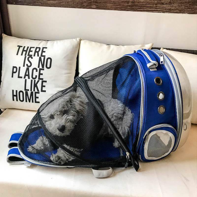 Fold-out cat/dog rucksack