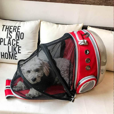 Fold-out cat/dog rucksack