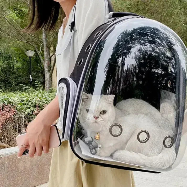 Fold-out cat/dog rucksack