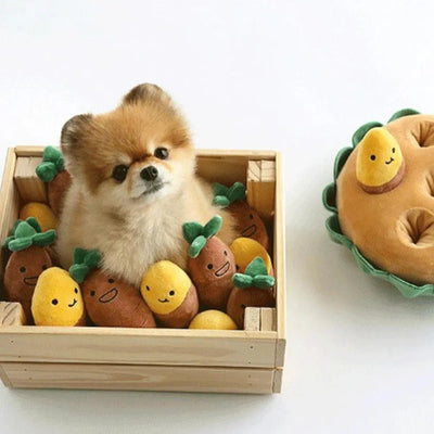 Sniffer garden toy for pets