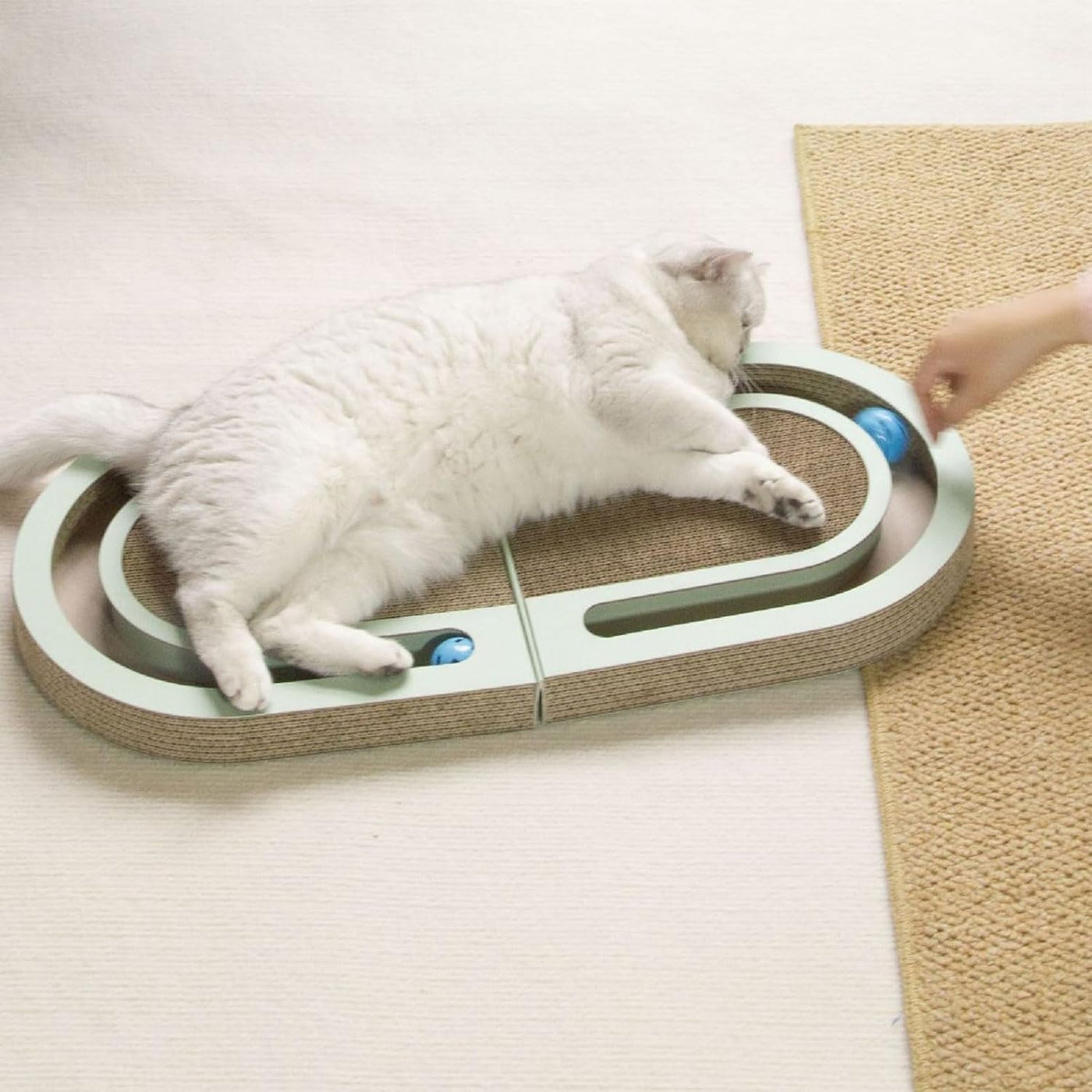 Cardboard cat scratching and play bed