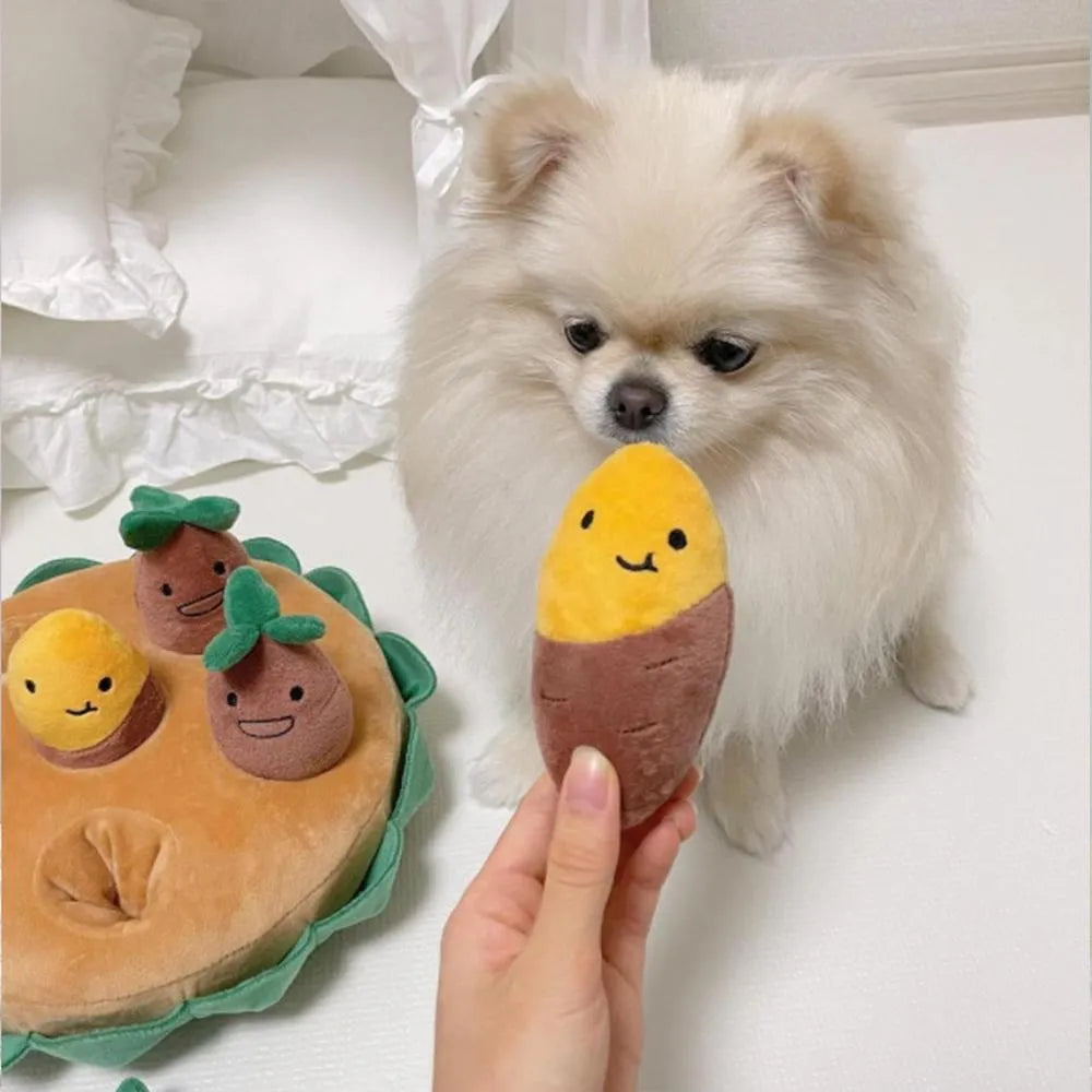 Sniffer garden toy for pets