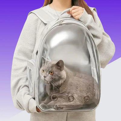 Fold-out cat/dog rucksack