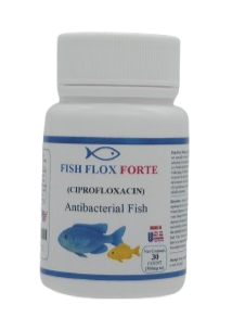 Aqua Cipro Ciprofloxacin  - 500 mg 30 Tablets