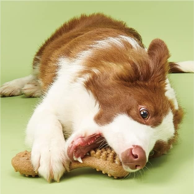 Premium durable dog chew toy
