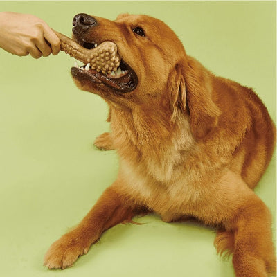 Premium durable dog chew toy