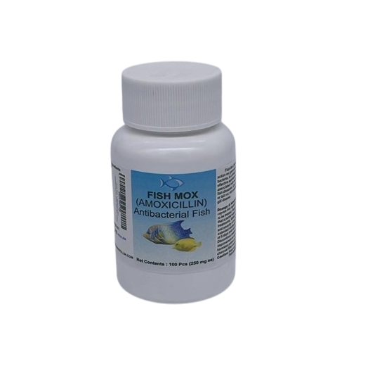 Fish Mox  Amoxicillin 250 mg Capsules (100 Count)