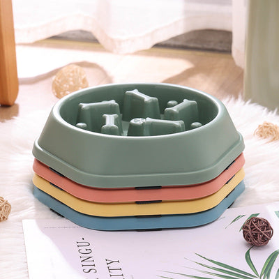 Slow food feeding station for dogs