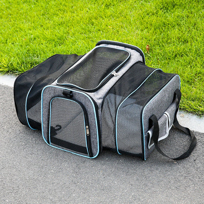 Fold-out pet transport bag