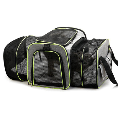 Fold-out pet transport bag