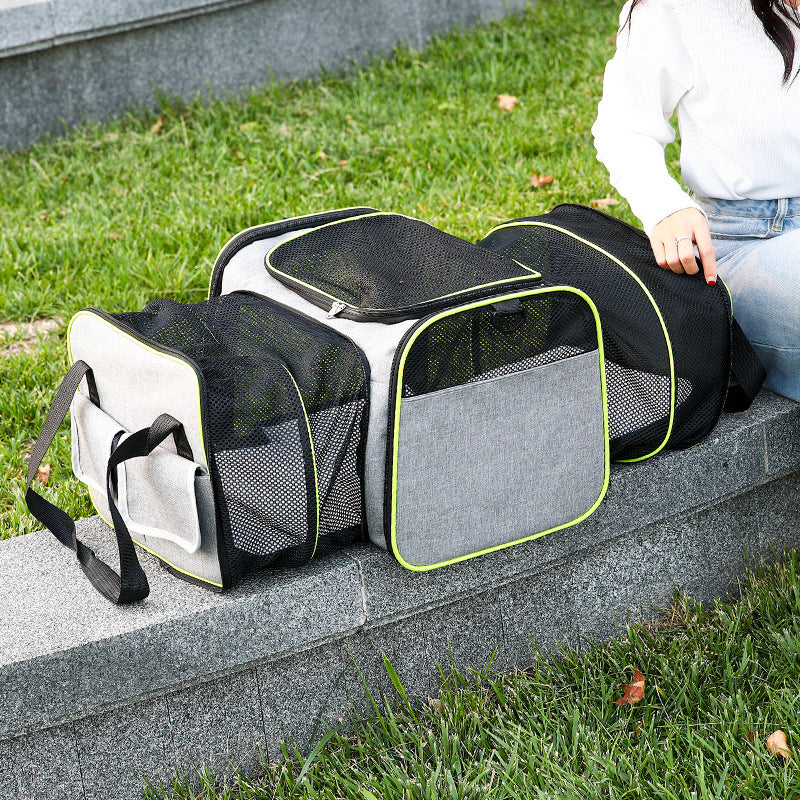 Fold-out pet transport bag