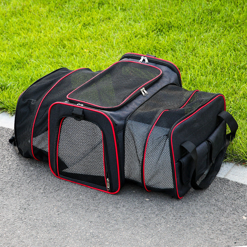 Fold-out pet transport bag