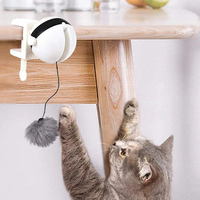 Interactive cat toy with automatic cord