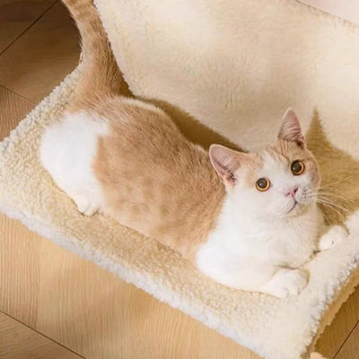 Fluffy cat hammock