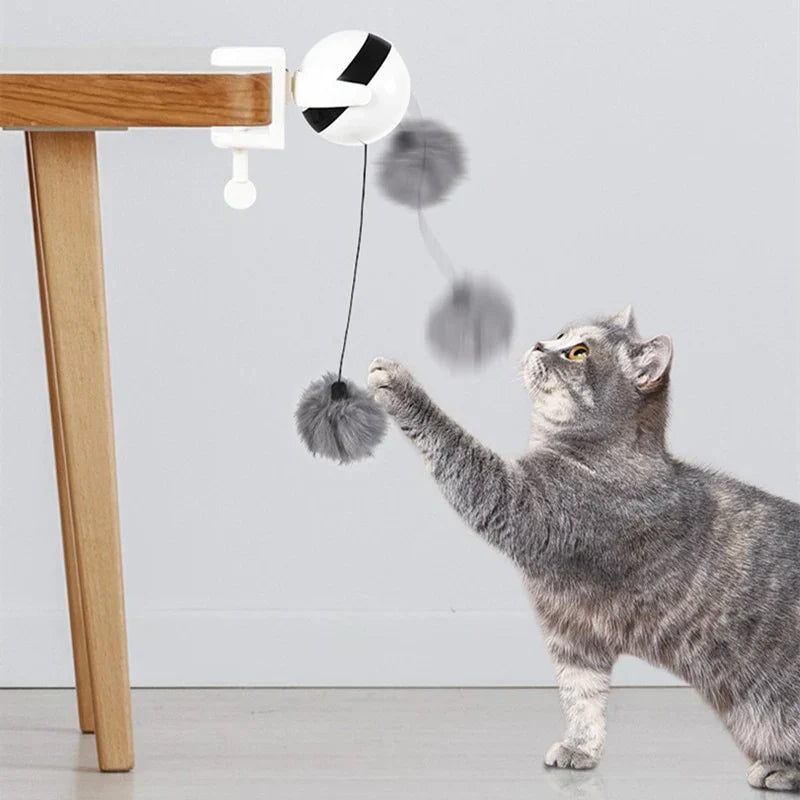 Interactive cat toy with automatic cord