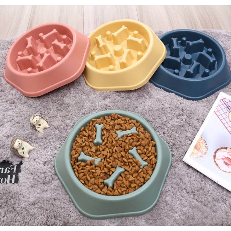 Slow food feeding station for dogs