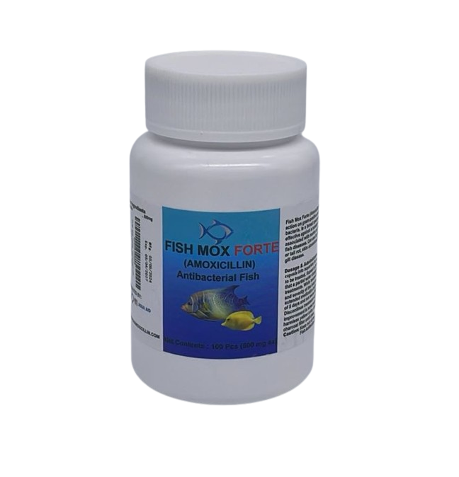 Fish Mox Forte Amoxicillin 500 mg Capsules (100 Count)