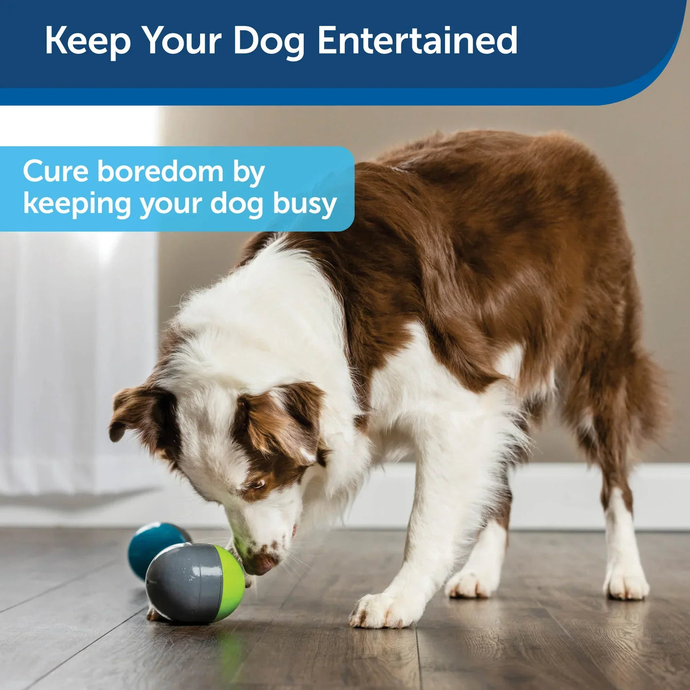 Ricochet Electronic Dog Toy
