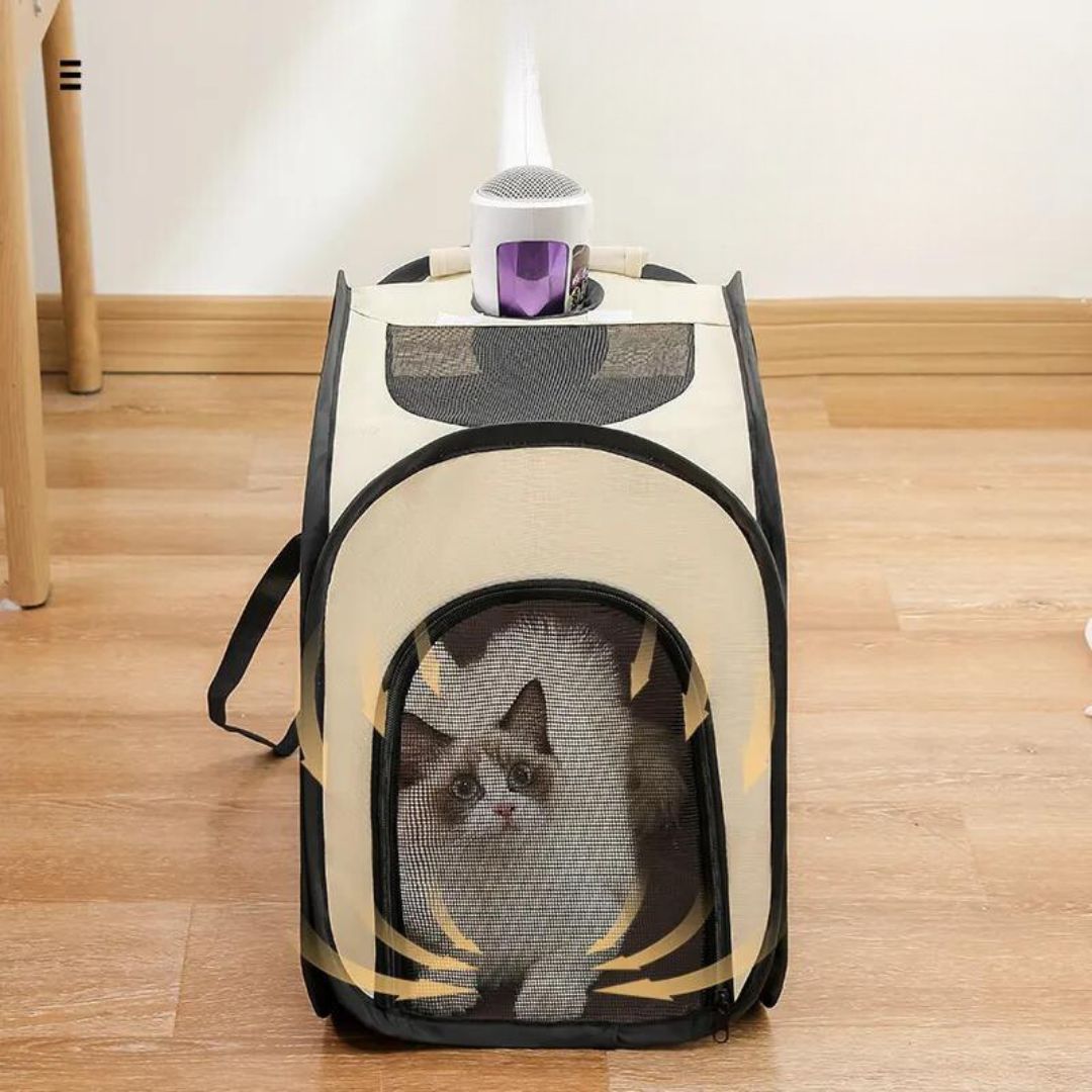 Stowable pet transport box