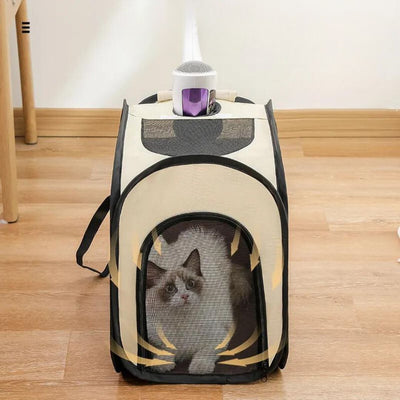 Stowable pet transport box
