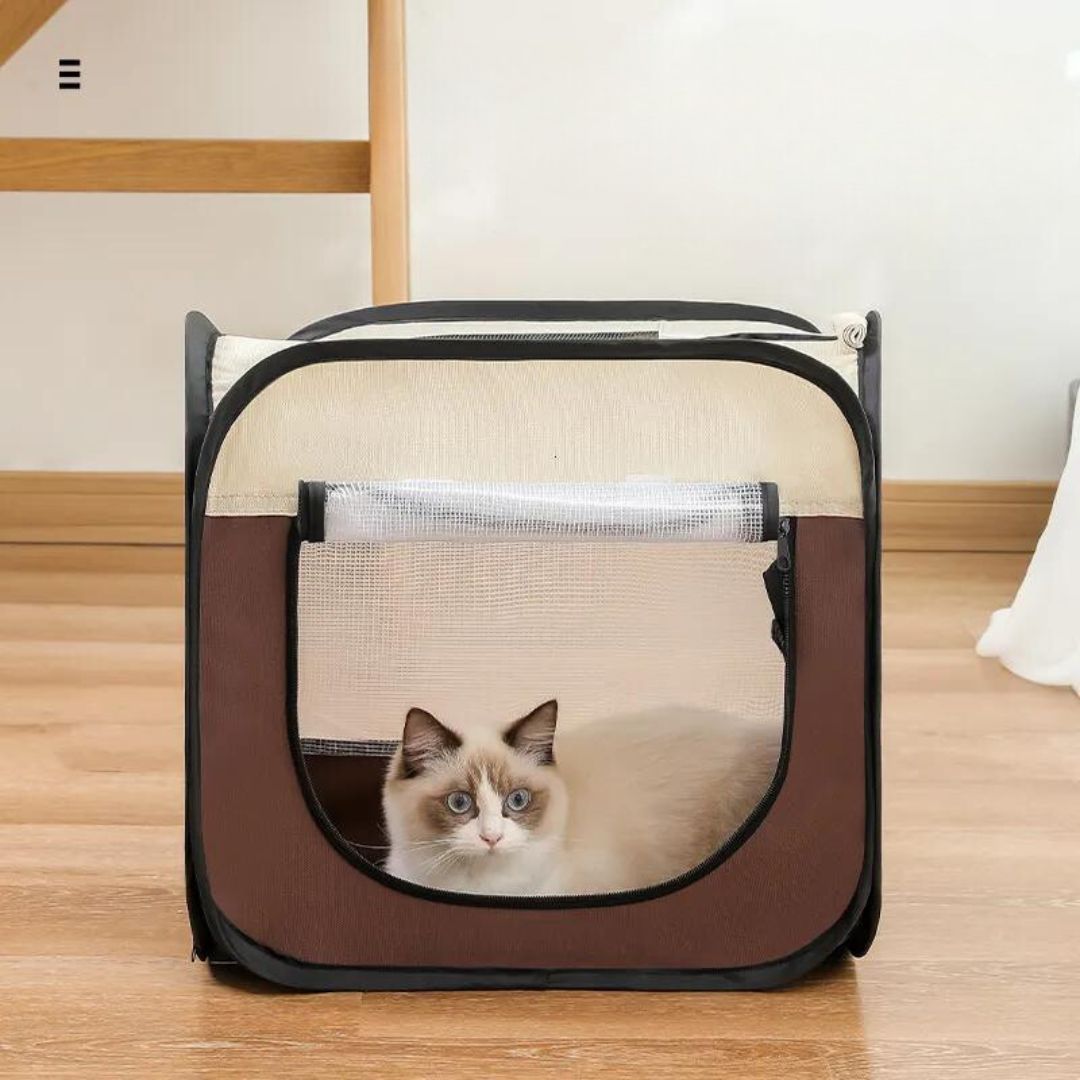 Stowable pet transport box