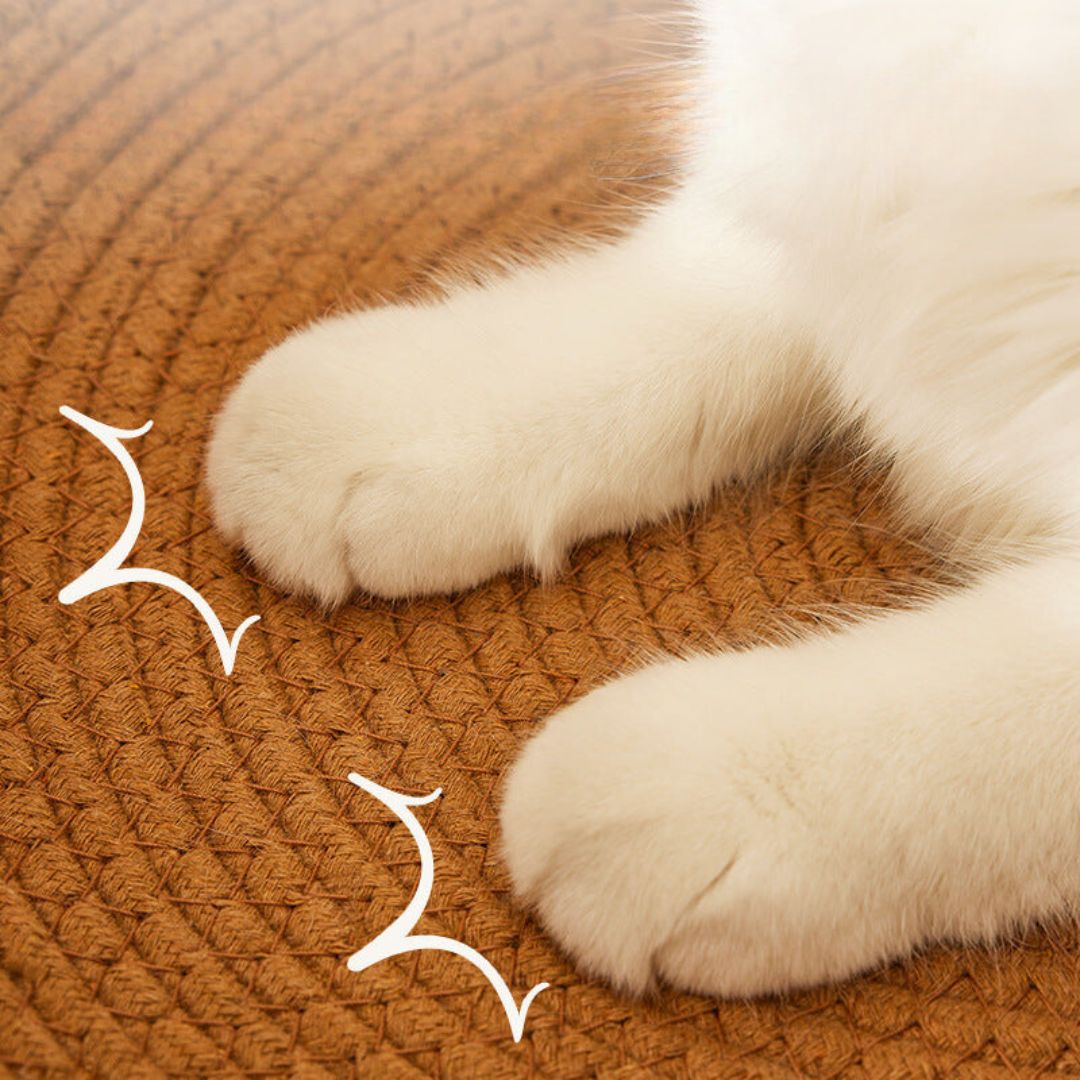 Hand-woven rattan cat scratching bed