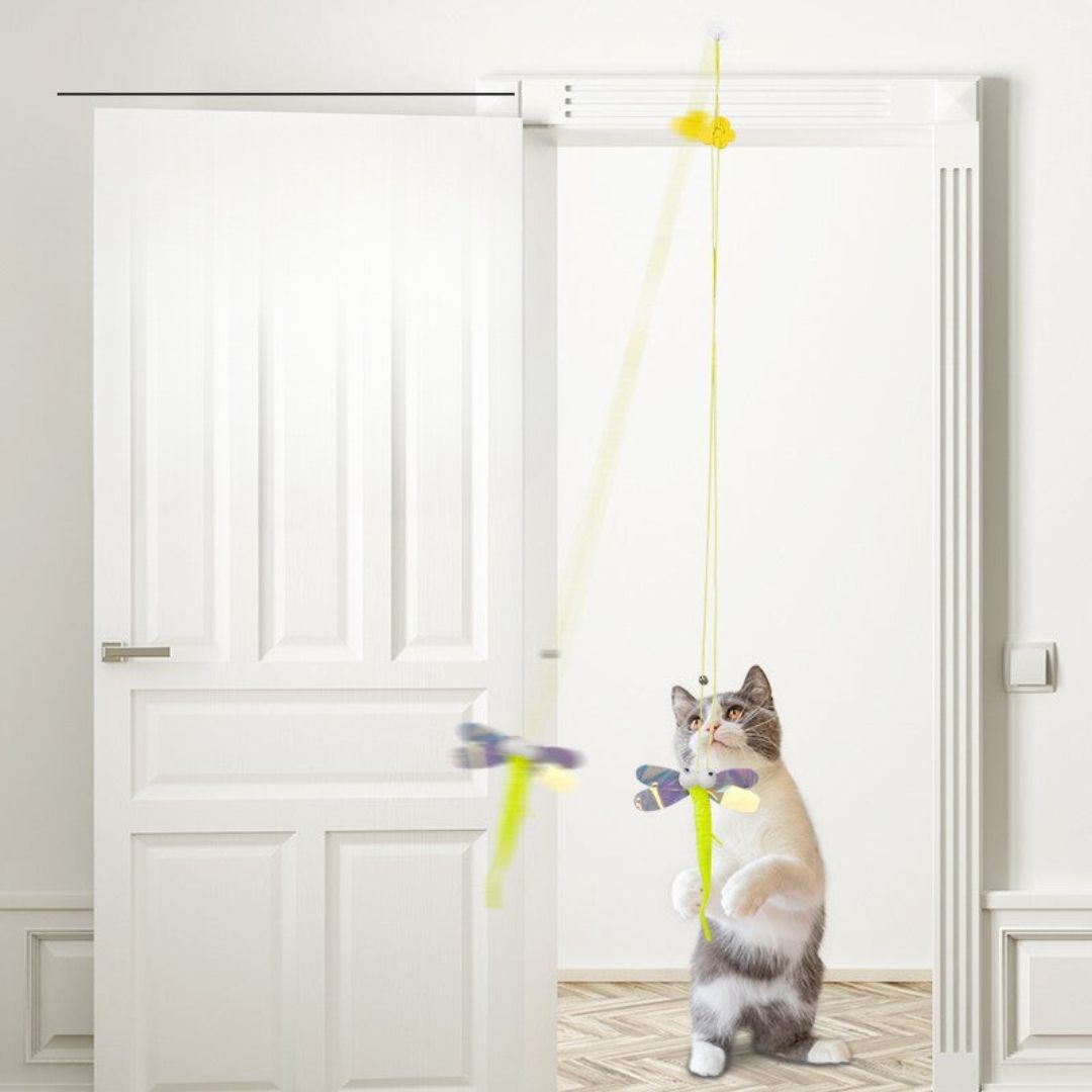 Hanging cat toy