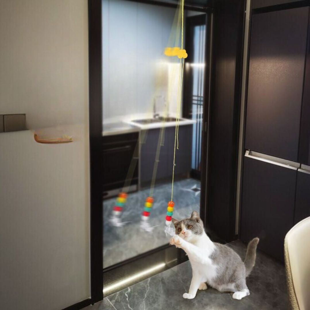 Hanging cat toy