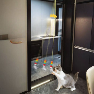 Hanging cat toy