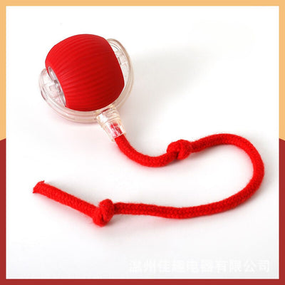 Interactive play ball with tail for cats