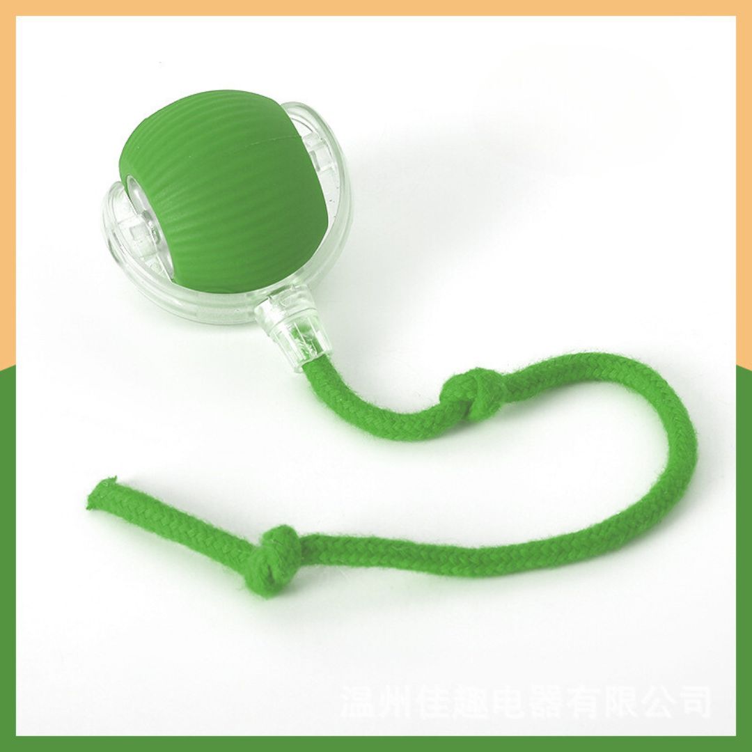 Interactive play ball with tail for dogs