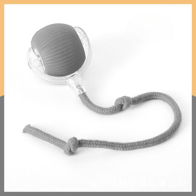 Interactive play ball with tail for cats