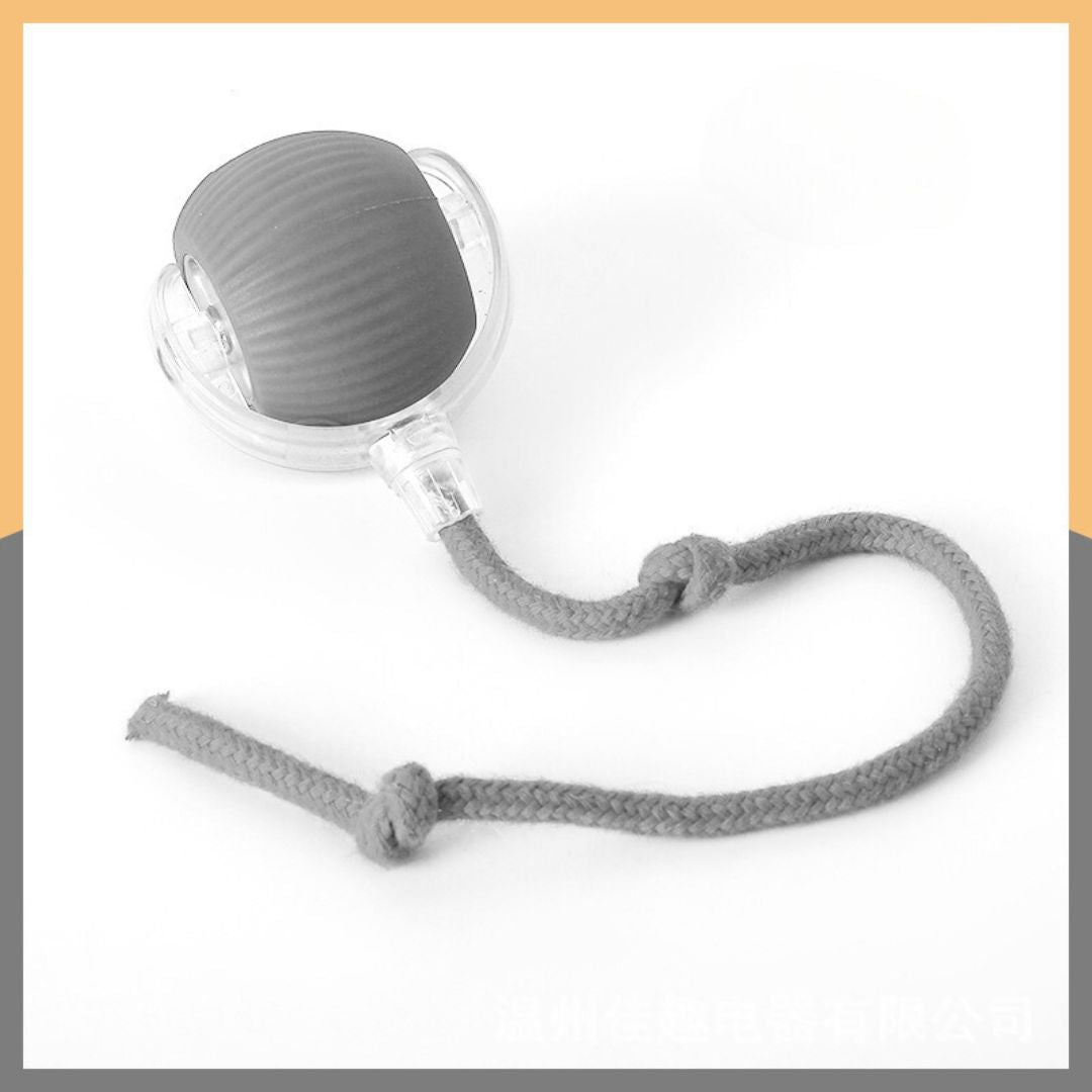 Interactive play ball with tail for dogs