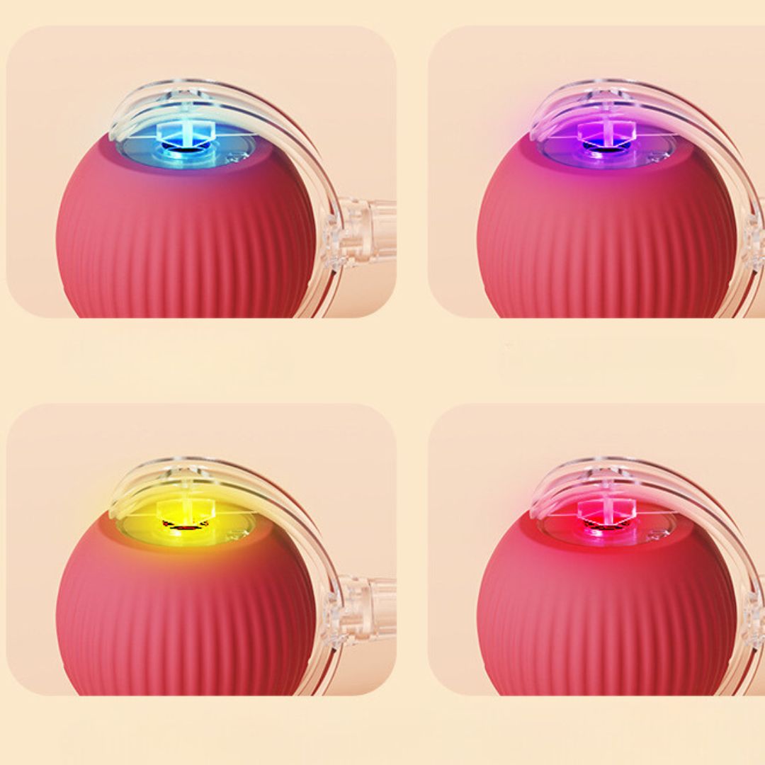 Interactive play ball with tail for cats