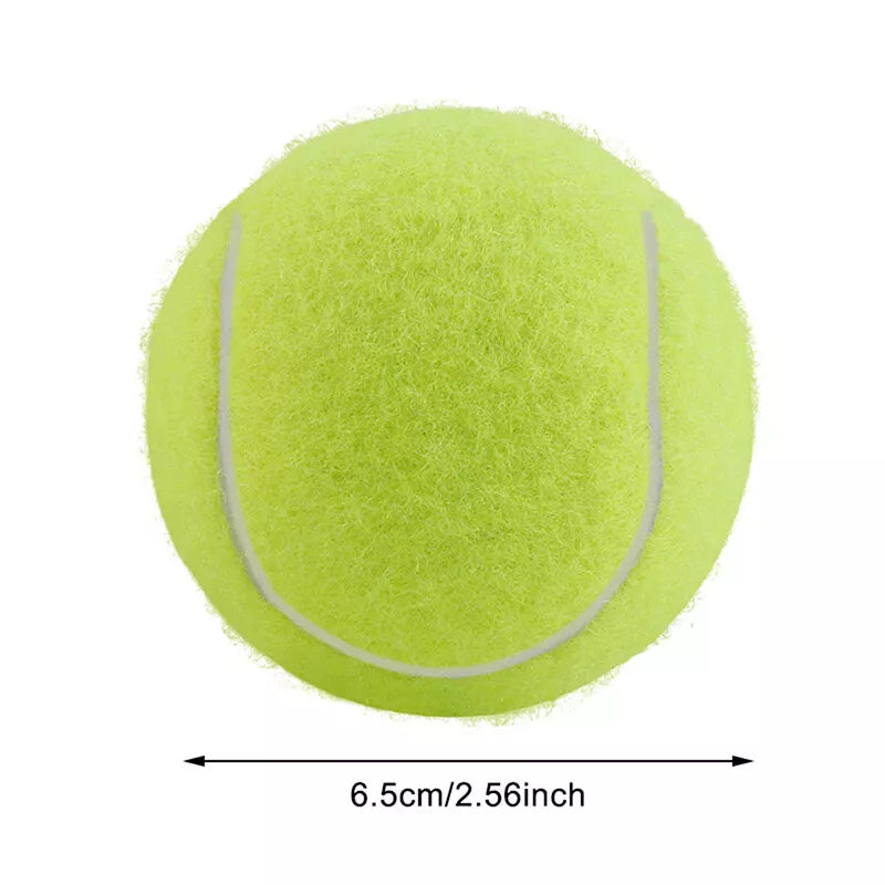 Giant tennis ball for dogs