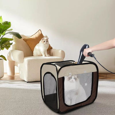 Stowable pet transport box