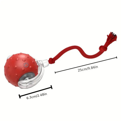 Interactive play ball with tail for dogs